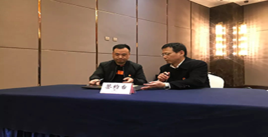 1554280952855794.png 02.png