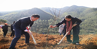 1554281143626452.png 05.png