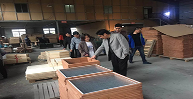 1554282301666038.png 06.png