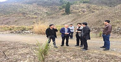 1554282332249345.png 1554282332249345.png